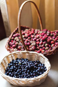 How Antioxidants Work in Your Body Image